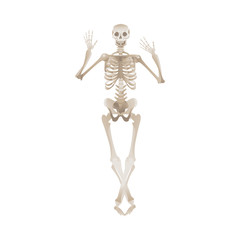 Cheerful skeleton dancing pose for Halloween or other party horror design vector.