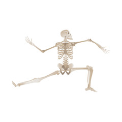 Vector flat funny human skeleton dancing icon
