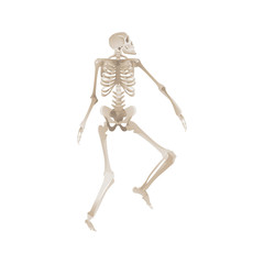 Vector flat funny human skeleton dancing icon