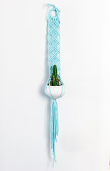 Close up Dark Green Cactus Plant on White Pot in A Hand-Made Cotton Macrame Plant Hanger. Isolated on White Background