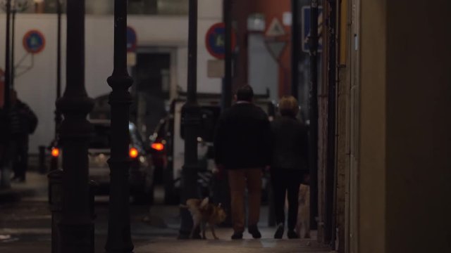 A dark blurred street view with busy traffic and a couple walking along a sidewalk with two dogs. There are a lot of details like street signs, lamp posts, cars and blurred silhouettes