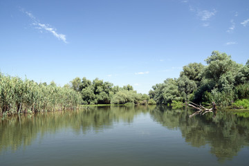 Landscape of Danube Delta. Danube distributary channel. Romania.