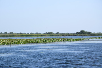 Fortuna Lake (Lacul Furtuna). Danube biosphere reserve - Danube delta, Romania.