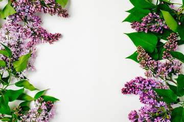 Frame border of purple lilac flowers on white background. Flat lay floral composition, top view, overhead. Spring background, greeting card mockup with copy space for message, banner template.
