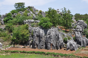 The Stone Forest Park Shilin. Yunnan, China.