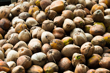 Pile group pack of Coconut raw as mountain, ready to deliver, Background of natural Famous Asian...