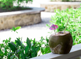 Coconut Island Cocktail 