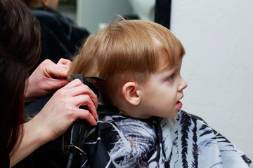 The little boy in the barber shop