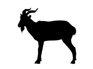 Goat Silhouette Vector Isolated