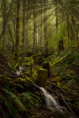 Gordijnen Wallaces Falls Foot Bridge stream in forest © CHARLES MORRA