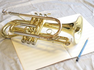 Obraz na płótnie Canvas a cornet on notebook with a pencil