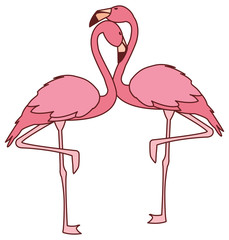 exotic pink flemish couple birds with romantic pose