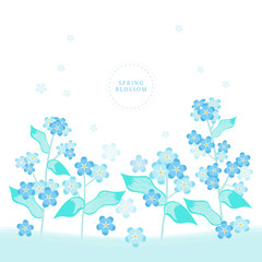 Fototapeta na wymiar Spring blossom, Flower illustration, frame