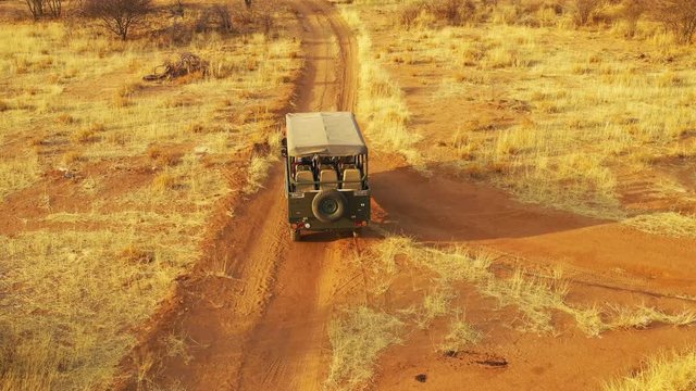 Aerial of a safari jeep traveling on the plains of Africa, at Erindi Game Preserve, Namibia with native San tribal spotter guide sitting on front spotting wildlife.