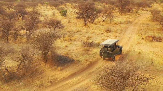 Aerial of a safari jeep traveling on the plains of Africa, at Erindi Game Preserve, Namibia with native San tribal spotter guide sitting on front spotting wildlife.