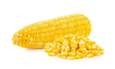 Corn seeds isolated on the white background. full depth of field