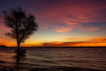 Naklejka na ściany i meble Sunset on beach. Tree on othe water.