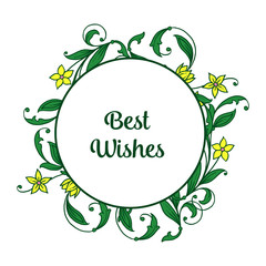 Vector illustration letter best wishes for beauty yellow flower frame