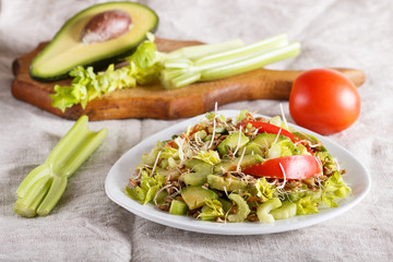 Vegetarian salad of celery, germinated rye, tomatoes and avocado on linen tablecloth.