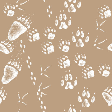 Vector hand drawn seamless pattern with walking wild wood animal and bird tracks