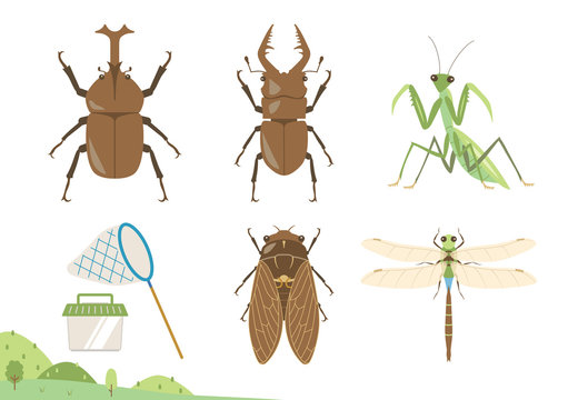 カブト虫 Images Browse 1 004 Stock Photos Vectors And Video Adobe Stock カブト虫 Images Browse 1 004 Stock Photos Vectors And Video Adobe Stock