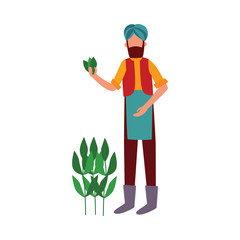 Indian farmer man stands holding cotton plant leaves flat cartoon style