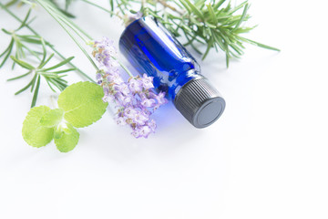 Aroma oil with lavender & rosemary