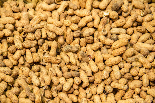 Mosaic of raw peanuts in a bounch