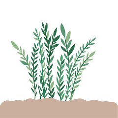 plant in landscape isolated icon