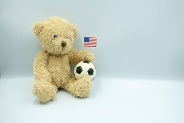 Bear soccer is holding football 