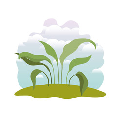 plant in landscape isolated icon