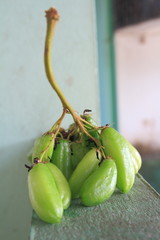 Bilimbi, cucumber tree, or tree sorrel (Averrhoa bilimbi)on the table,thailand