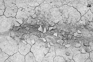 Dried and Cracked ground,Cracked surface,Dry soil in arid areas.