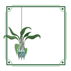 frame with houseplant on macrame hangers