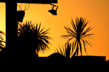 Atardecer
