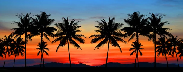 Foto op Canvas prachtige zonsopgang op zee © rathchapon