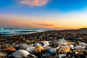 Fototapeta na wymiar Sunset in a South Carolina beach 