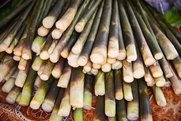 Fresh bamboo shoot from nature forest for sale in the local market