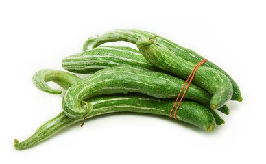 Snake gourd isolated on white background  / Trichosanthes anguina