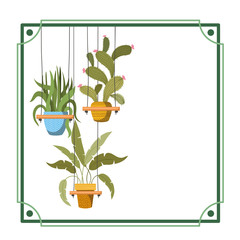 frame with houseplants on macrame hangers
