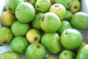 guava fruit