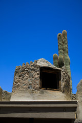 saguaro cactus and trading post bell tower