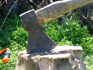  ax on stump in nature