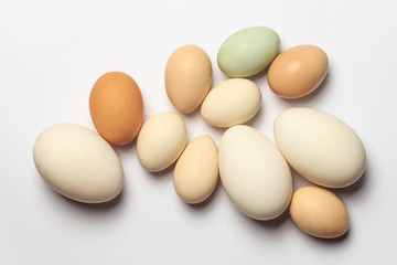 A variety of eggs, goose eggs close-up