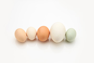 A variety of eggs, goose eggs close-up