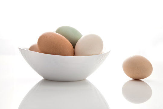 A variety of eggs, goose eggs close-up