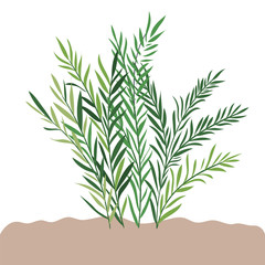 plant in landscape isolated icon