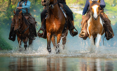 The close-up view cowboy  of galloping horse on the river