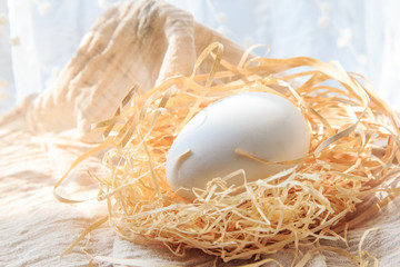 A variety of eggs, goose eggs close-up