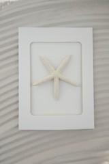 Fototapeta na wymiar Sea summer concept. Maritime decor.Sea white star in white frame. Sea postcard with starfish on a sandy textural background.
